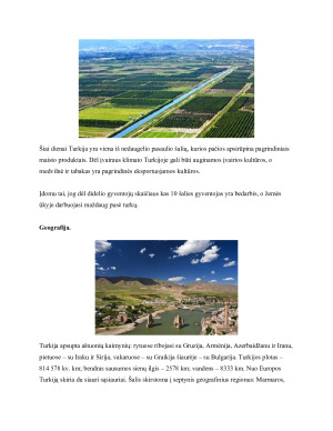 TARPTAUTINĖS PREKYBOS PROJEKTINIS DARBAS TURKIJA. Paveikslėlis 6