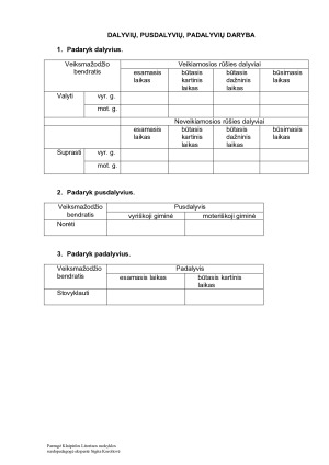 DALYVIŲ, PUSDALYVIŲ, PADALYVIŲ DARYBA. Užduotys. Paveikslėlis 4