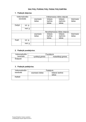 DALYVIŲ, PUSDALYVIŲ, PADALYVIŲ DARYBA. Užduotys. Paveikslėlis 8