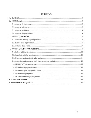 Autizmo sutrikimą turinčių vaikų ugdymo ypatumai. Paveikslėlis 2
