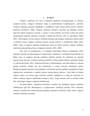 Dėmesingumo ir įsisamoninimo meditacija paremtas streso mažinimo metodas valgymo sutrikimų reabilitacijoje. Paveikslėlis 3