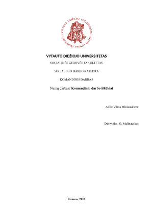 Komandinio darbo iššūkiai