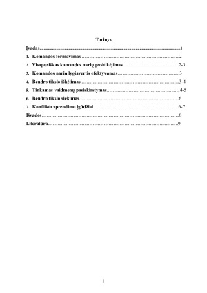 Komandinio darbo iššūkiai. Paveikslėlis 2