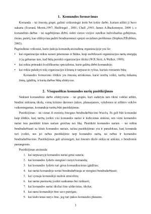 Komandinio darbo iššūkiai. Paveikslėlis 4