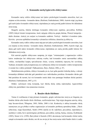 Komandinio darbo iššūkiai. Paveikslėlis 5