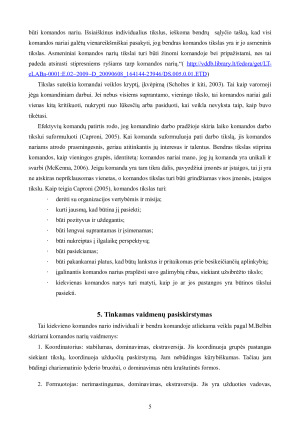 Komandinio darbo iššūkiai. Paveikslėlis 6