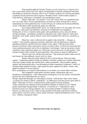 TEIGIAMO POŽIŪRIO Į MOKYMĄSI UGDYMAS. Paveikslėlis 5