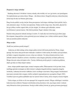 MIEGAS IR SAPNAI. Paveikslėlis 4