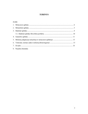 DAIKTINĖS APLINKOS ĮTAKA UGDYMO PROCESUI. Paveikslėlis 2