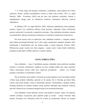 PAAUGLIŲ SUBKULTŪROS. Paveikslėlis 4