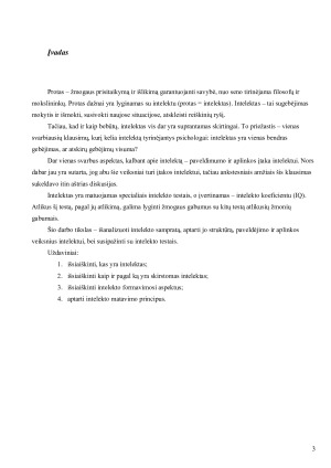 INTELEKTAS. Paveikslėlis 3