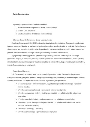 INTELEKTAS. Paveikslėlis 5