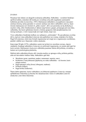 SUBKULTŪROS. Paveikslėlis 3