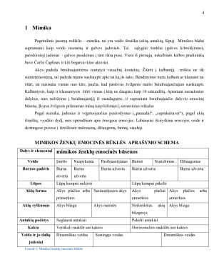 Neverbalinė komunikacija. Paveikslėlis 3