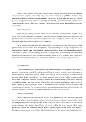 Elgesio adaptacinė funkcija. Paveikslėlis 4