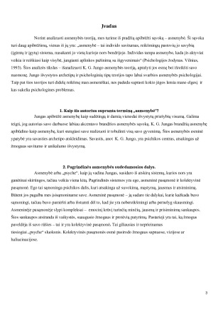 Karlo Gustavo Jungo asmenybės. Paveikslėlis 3