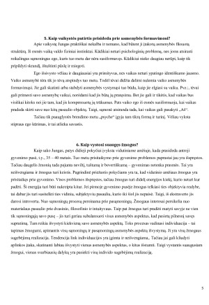 Karlo Gustavo Jungo asmenybės. Paveikslėlis 5