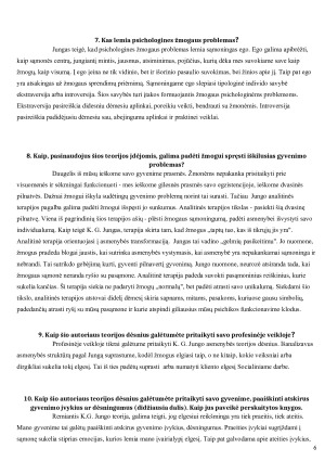 Karlo Gustavo Jungo asmenybės. Paveikslėlis 6