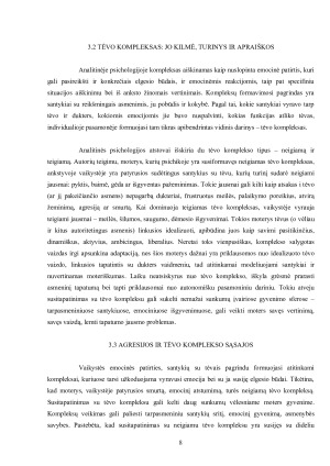 KOMPLEKSAI. Paveikslėlis 8