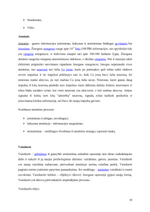PROTAS. Paveikslėlis 10