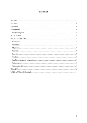 PROTAS. Paveikslėlis 2