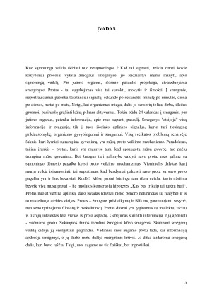 PROTAS. Paveikslėlis 3