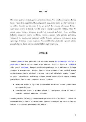 PROTAS. Paveikslėlis 4