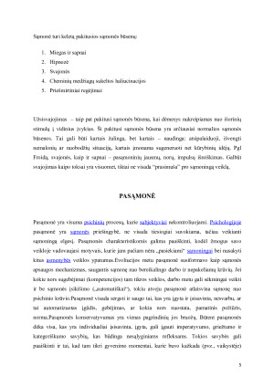 PROTAS. Paveikslėlis 5