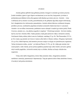 ATMINTIS (2). Paveikslėlis 3