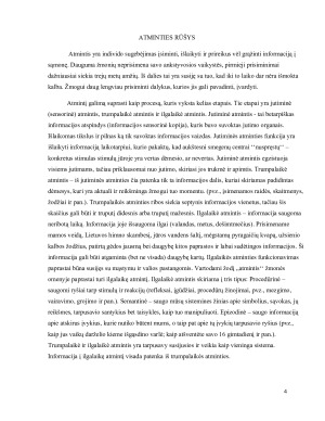 ATMINTIS (2). Paveikslėlis 4