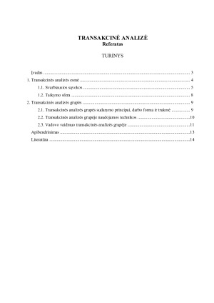 TRANSAKCINĖ ANALIZĖ. Paveikslėlis 1