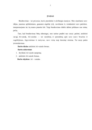 Aš vaizdo formos. Paveikslėlis 2