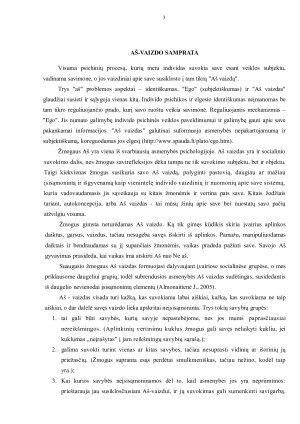 Aš vaizdo formos. Paveikslėlis 3