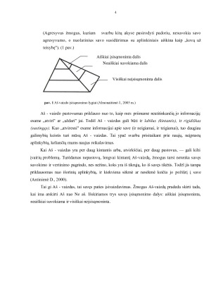 Aš vaizdo formos. Paveikslėlis 4