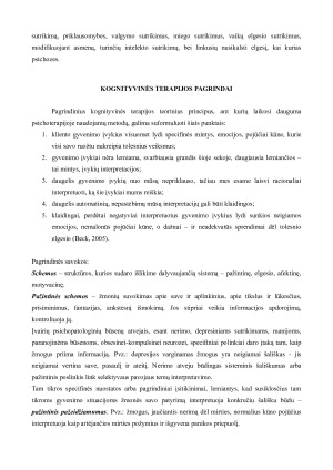 KOGNITYVINĖ TERAPIJA IR JOS TAIKYMAS KONSULTACIJOS METU. Paveikslėlis 5