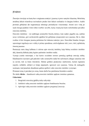 VAIKŲ EMOCINIO INTELEKTO UGDYMAS. Paveikslėlis 3