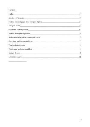 C. G. Jungo asmenybės teorijos analizė. Paveikslėlis 2