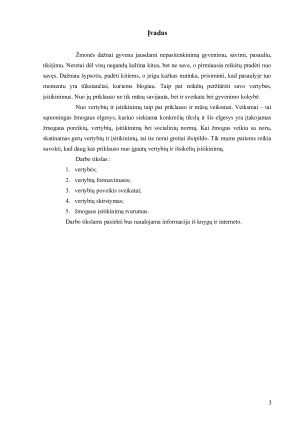 ĮSITIKINIMAI IR VERTYBĖS. Paveikslėlis 4