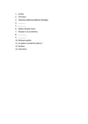 Suvokimo iliuzijos. Paveikslėlis 2