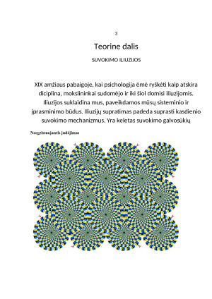 Suvokimo iliuzijos. Paveikslėlis 5