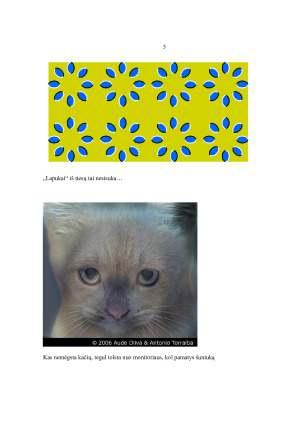 Suvokimo iliuzijos. Paveikslėlis 7