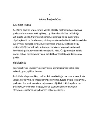 Suvokimo iliuzijos. Paveikslėlis 8