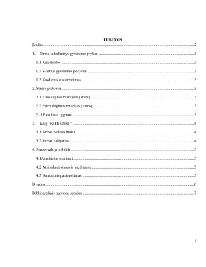 Stresas ir jo įveika. Paveikslėlis 2