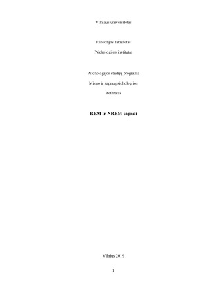 REM ir NREM sapnai