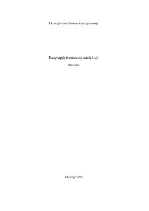 Kaip ugdyti emocinį intelektą