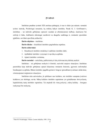 Intelekto pagrindiniai aspektai. Paveikslėlis 2