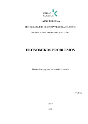 EKONOMIKOS PROBLEMOS
