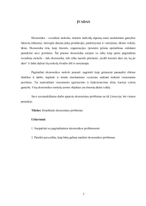 EKONOMIKOS PROBLEMOS. Paveikslėlis 3