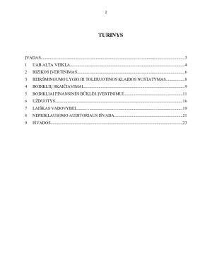 UAB ALTA  AUDITAS. Paveikslėlis 2