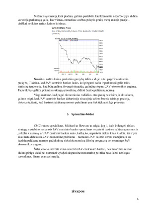 JAV ekonomikos problemos ir jų sprendimas. Paveikslėlis 6